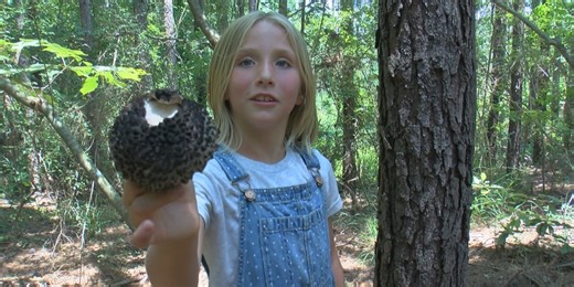 Local seven-year-old hopes to be crowned Jr. Ranger in nature and wildlife competition