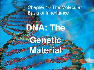 DNA: The Genetic Material - SlideServe