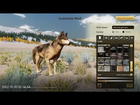 Full Wolf Customization Menu WolfQuest 3 Anniversary Edition Episode #195 (v1.0.8 beta 18)