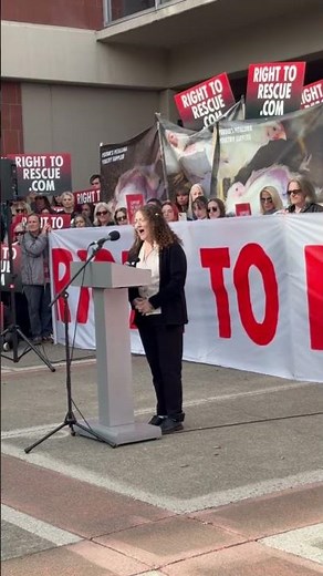 Animal rights activist Zoe Rosenberg speaks before sentencing in Sonoma County farm break-in case