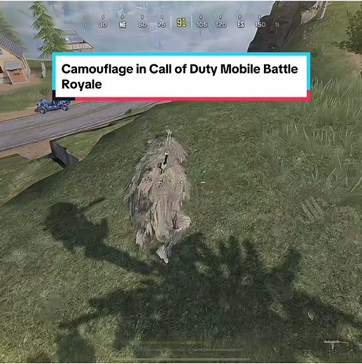 Mastering Camouflage in Call of Duty Mobile Battle Royale