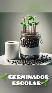 Cómo Hacer un germinador escolar casero #hazlotumismo #germinacion | Villa Burbuja