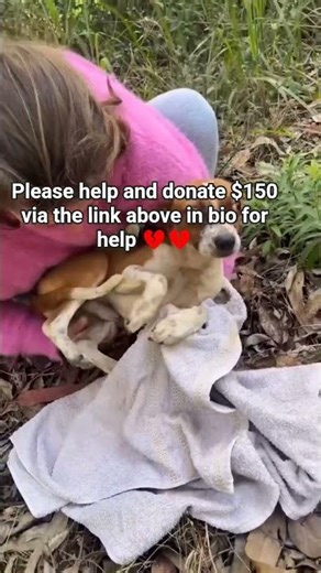 "My furry friend needs your help! 🐾 We’re struggling to cover food, vaccinations, and rent bills.