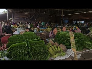 9/12/2025 Coj Nej Saib.Taj Laj Zos Npab Pub Os Cov Me Phooj Ywg Aw