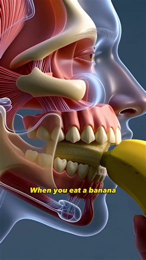 What Happens to Your Body When You Eat a Banana?