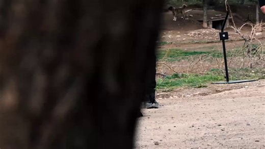 Gökyüzünün yeni muhafızı: Skydagger AVCI! 🦅320 km/sa hıza ulaşan sistem, AI destekli hedef kilitleme ve radar entegrasyonuyla hava tehditlerini etkisiz hale getiriyor.Çift kamera ve 500g harp başlığıyla donatılan AVCI, yüksek hızlı müdahalede yeni bir dönem başlatıyor.