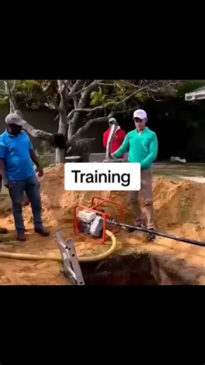 three Born In One 🐫🐘🐑🕊️🌠 (@three.born.in.one)’s videos with original sound - three Born In One 🐫🐘🐑🕊️🌠