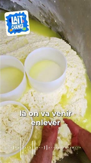 Comment se fabrique le Saint-Nectaire Fermier ? #aop #shorts #cheese #fromages
