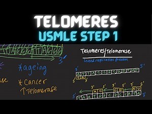 Telomeres | Biochemistry | USMLE Step 1