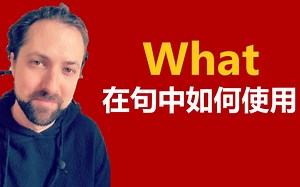 英文语法: what在句中如何使用