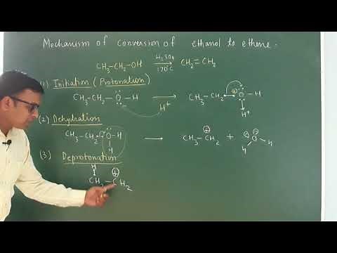 Mechanism of dehydration of alcohol. (Alcohol phenol and ether | class 12)
