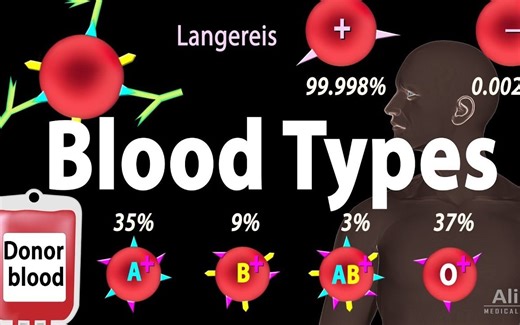 （中英）动画演示血型系统及输血规则