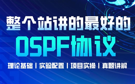 绝对是整个B站讲的最好的OSPF视频教程！理论基础丨实验配置丨项目实操丨真题讲解
