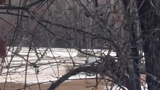 🕵️ HELP IDENTIFY THIS PERSON DUMPED A DEAD SHEEP ON S HALIFAX RD NEAR WEST MOUNT DR AND RIVER GLENN AREA If you know who this is please reach out ANIMAL CONTROL is also investigating the cause of death (252) 406-6736 Info@ncfightingcrime.com Inbox | Fighting Crime News and Who's Wanted