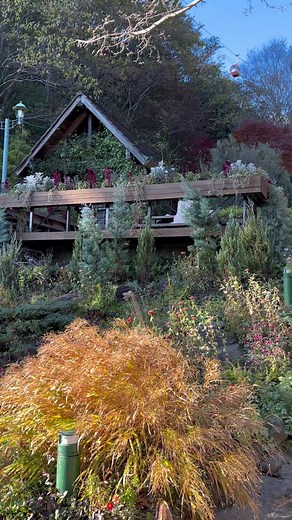 Japanese Cottage Core Aesthetic Garden 🫶🏻🌼