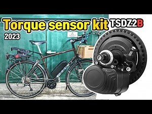 TSDZ2B New Cheap Electric Bike Torque Sensor Central Drive Motor Kit Tongsheng 2023 Reviews