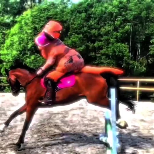 diego brando>dio brando || #xyzabc #fyp #jjba #jjbaedit #diegobrando ||