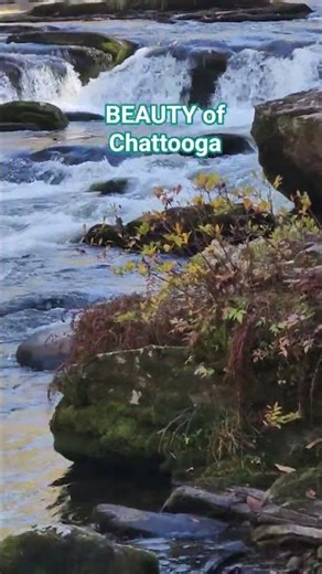 Foothills Trail #themarlowefactor #foothillstrail #hooterhikes #nature #hiking