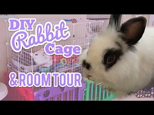 Making A DIY Rabbit Cage & Bunny Room Tour