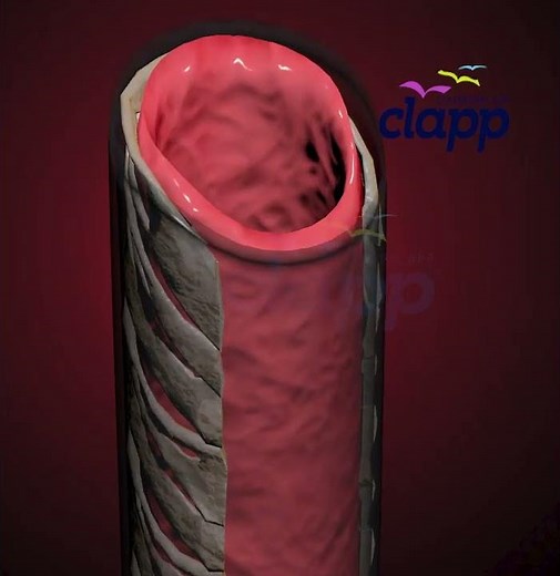 Trachea- The Hidden Highway of Breath - (3D Animation)