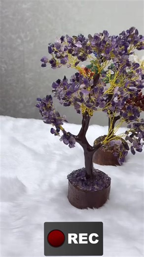 These beautiful crystal tree are looking for a loving and caring home. it will provide protection and healing energy to its environment. #crystaltree #amethyst #chakra #quartz #fyp