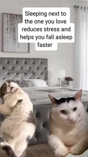 Yeah right 🤣 #Meme #MemeCut #CapCut #fyp #viral