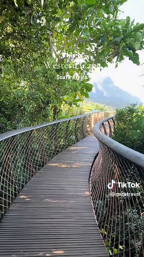 South Africa travel guide: Western Cape & Cape Town highlights