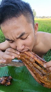 Grill Eel Eating Delicious 😋 | Wilderness Food
