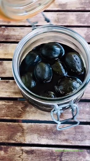 Pickled walnuts is an English thing, have you tried them before? #walnuts #picklesforlife #foragingtok @wildfoodlove @violife_foods #foragersoftiktok