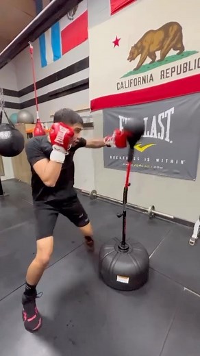 The ultimate tool for developing speed, accuracy, and precision for all combat sports. 🥊 💪 #Cobra #Everlast #CombatSports #reflexbag | Everlast