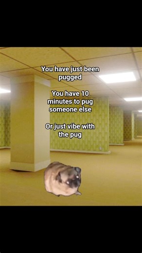 you have just been pugged#funny#memes#blowup#shorts#fypシ゚viral#subscribe