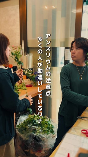 アンスリウムの育て方と水やりの注意点