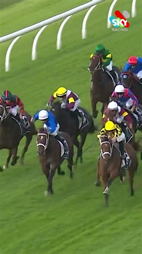 11 from 11...UNDEFEATED 🤯 AUTUMN GLOW claims the G1 George Ryder Stakes, and remains unbeaten 👏