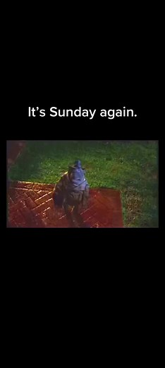 Just like that, Sunday returns. #sigma #fypxyzbca #fyp #pgtips #pgtipsmonkeh #tetleytea #pgtipstea #tea #sunday #sundaynight