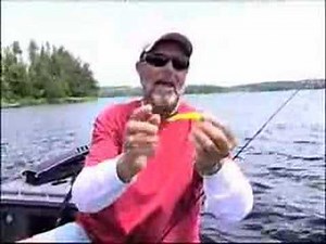 Insights of a Walleye Fisherman