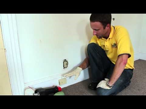 Different Techniques to Apply Dust for Bed Bugs