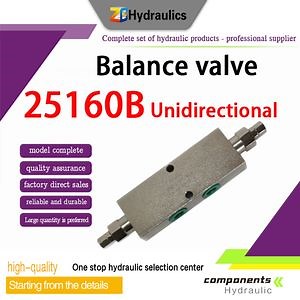 [Hot Item] 25160 B Two-Way Balancing Valve Advanced Two-Way Balancing Valve