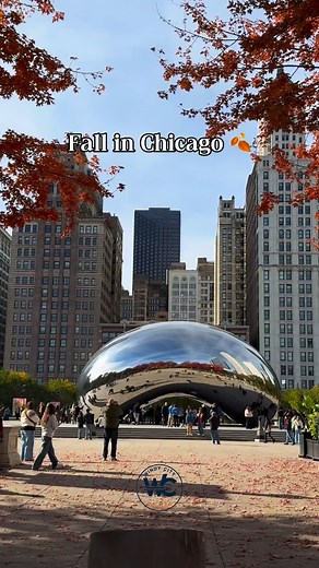 Fall in Chicago just hits different 🍂 #fall #chicagofall #fallinchicago #windycity#windycity | Windy City Chicago