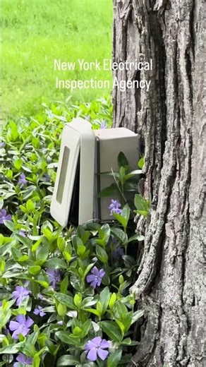 Can You LEGALLY Mount an Electrical Outlet to a Tree? | 2023 NEC Explained