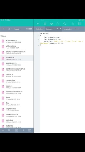 Boolean operators program rust