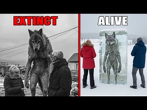 10 Extinct Animals That Might Still Be Alive!