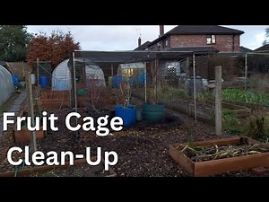 Allotment Reset - Cleaning the Fruit Cage & Quick Polytunnel Jobs