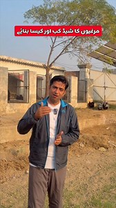 How to Start Poultry Farming | Build Shed or Rent Farm? | Poultry Ideas Guide #PoultryIdeas #PoultryFarmingTips #NewFarmersGuide #ChickenShedPlanning #FarmingKnowledge | Poultry Ideas