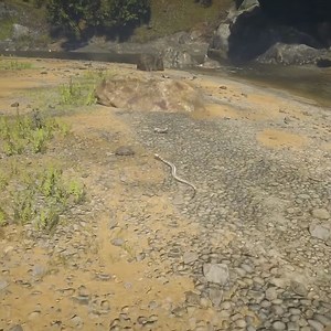 3.7K views | squirrel Impossible escape from Snake | Kesari Gaming | Facebook