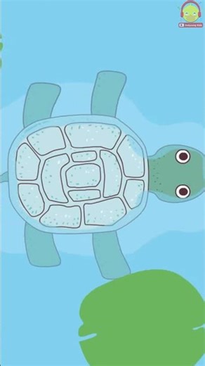 The Turtle Song: Oh, Turtle, the turtle has a thick shell. #Children's song