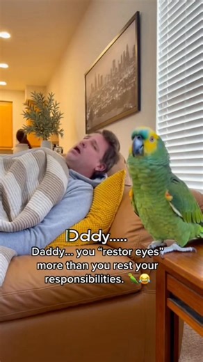 1.1K views · 24 reactions | Parrot funny questions about daddy snoring #facebookreels #facebookviral #trendingreel #usa #parrot #funnypets #parrotsofinstagram #talkingparrot #talkingbird | Unexpected Things | Facebook