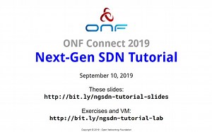 Next-Gen SDN Tutorial - Overview | 下一代SDN | ONOS P4