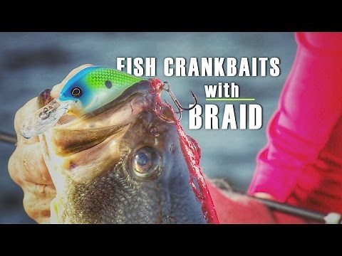 Why to Consider Braided Fishing Line for Cranking