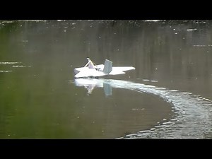 RC Ground Effect Vehicle - Ekranoplan