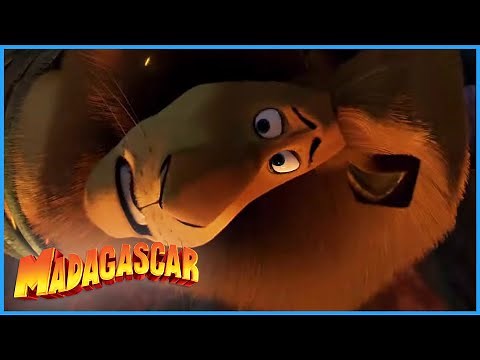 DreamWorks Madagascar | I'm From New York | Madagascar: Escape 2 Africa Movie Clip